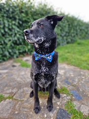 Photo de Fynn