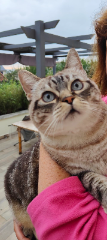 Photo de Nala