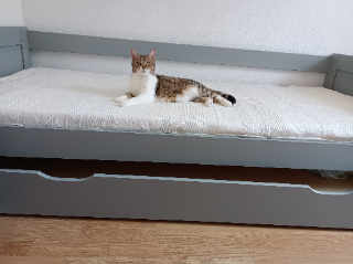 Lili
