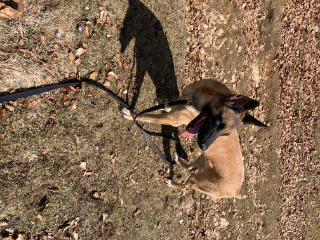 Photo de Patch