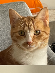 Photo de Winnie
