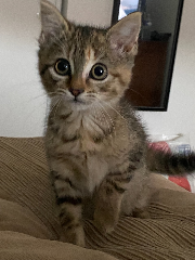 Photo de Léna