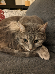 Pixel