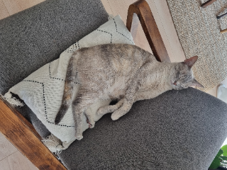 Photo de KIRA