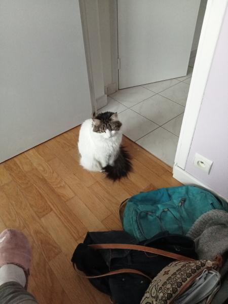 Photo de Feuille
