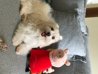 Photo de Zoe