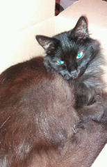 Photo de choupinouxxx