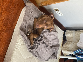 Loucky