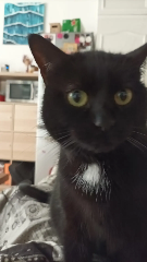 Zoé