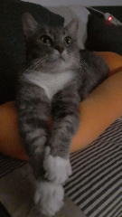 Lilou