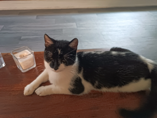 Photo de Oscar