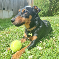 Jack