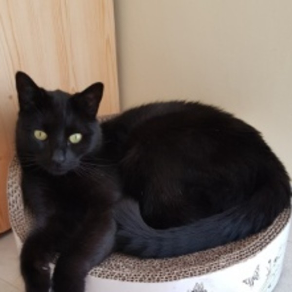 Photo de Pepito