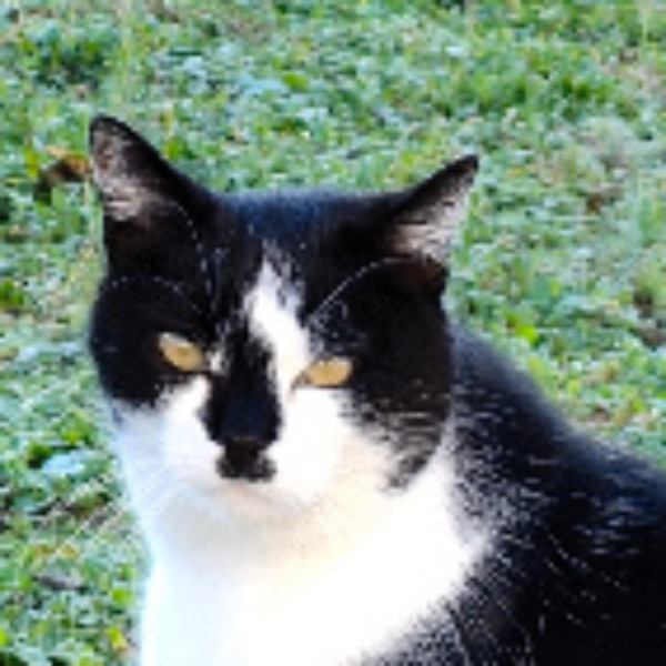 Photo de Praline
