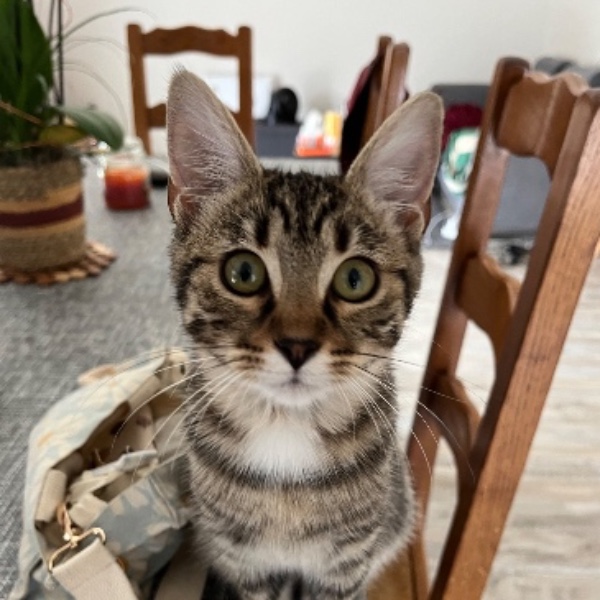 Photo de Sora