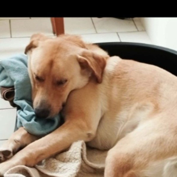 Photo de Helios