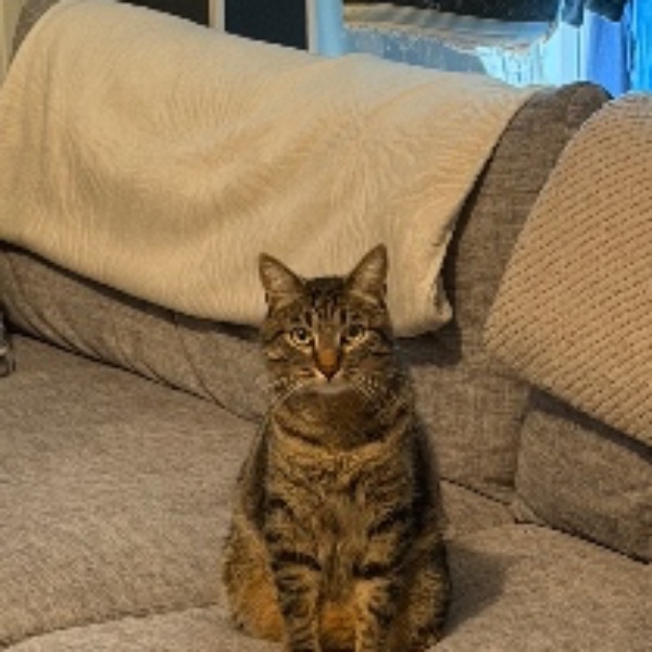 Photo de Smoky