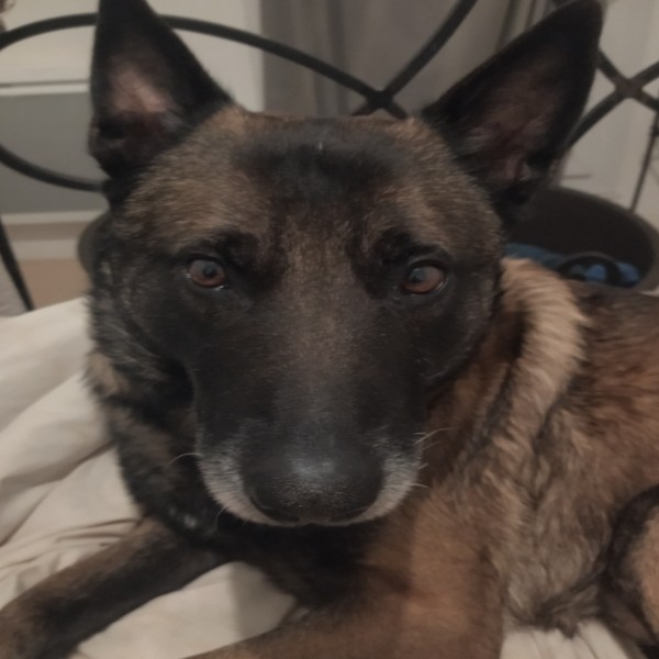 Zeus