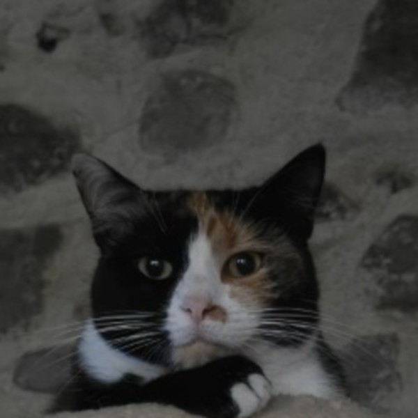 Olympe