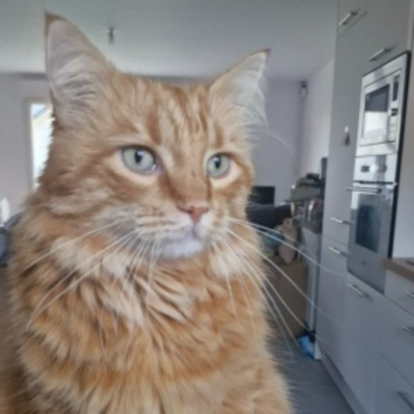 Caramel