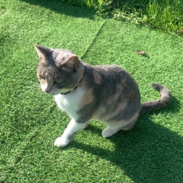keiko