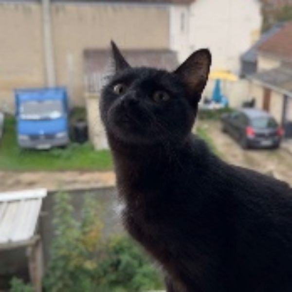 Lyli