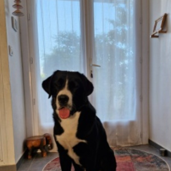 Photo de Hiro