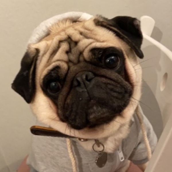 Pancake