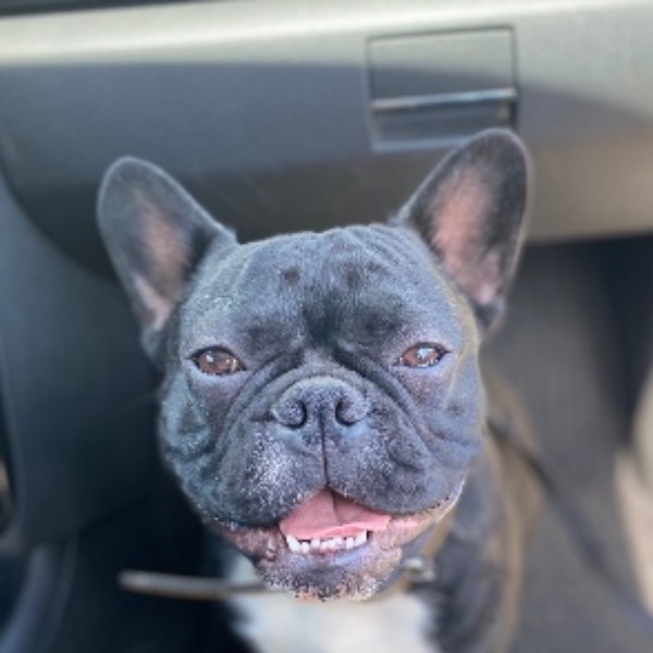 Ruben
