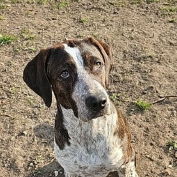 AYKA