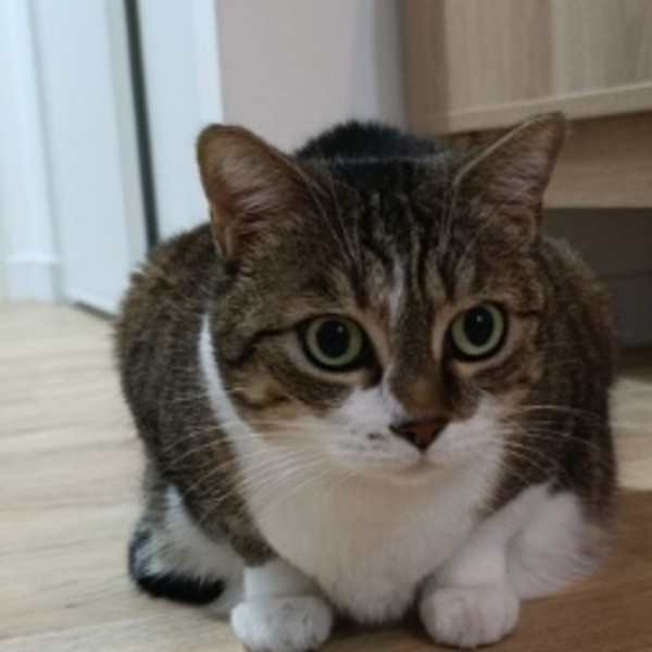 Helga