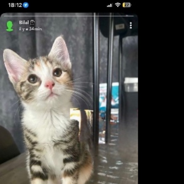 Photo de Nala