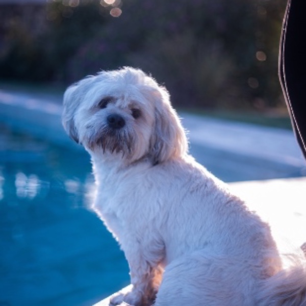 Photo de RUBIS  ( BIBI )