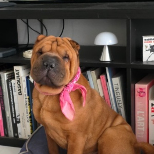 Photo de Mademoiselle Lulu