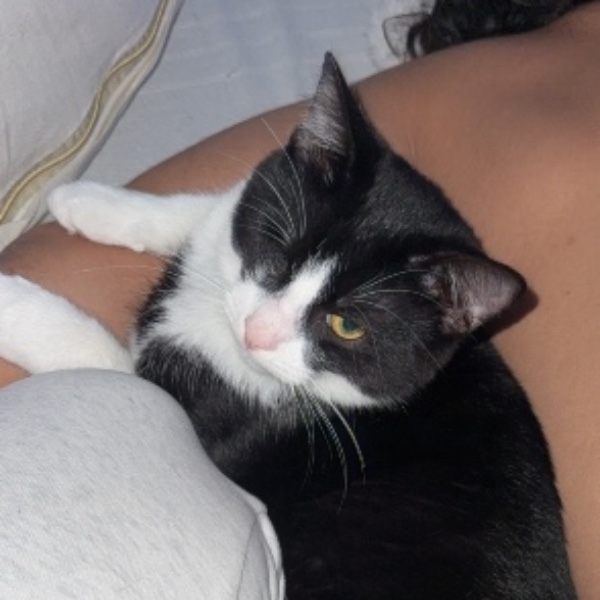 Blacky