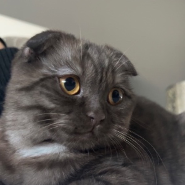 Photo de Pamuk