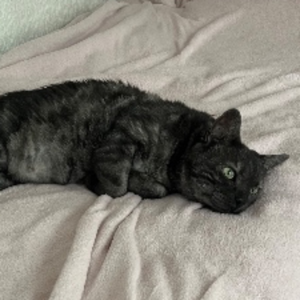 Bébé