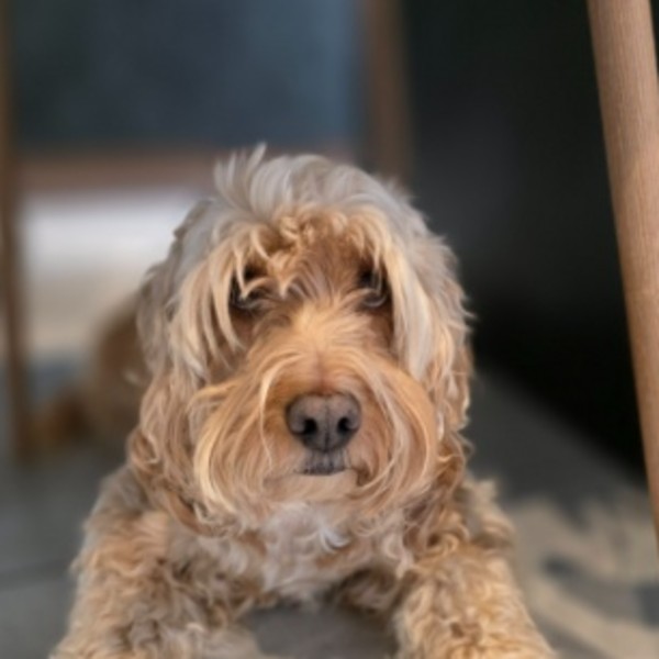 Winnie