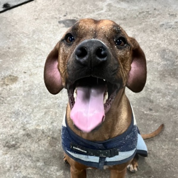 Pablo