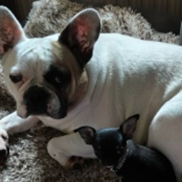 Photo de Paddy