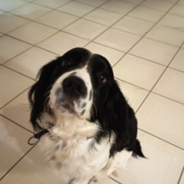 Photo de Twix