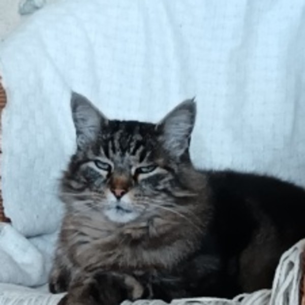 Pépère