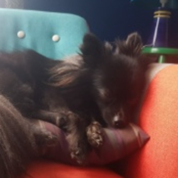 Sacha