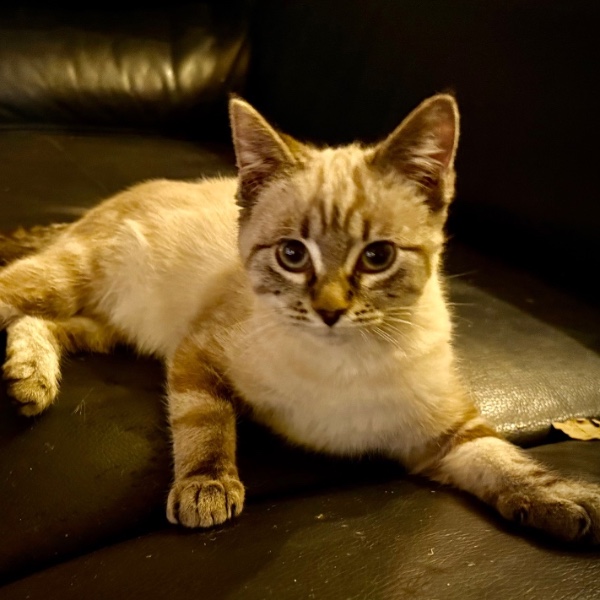 Photo de Tsuki