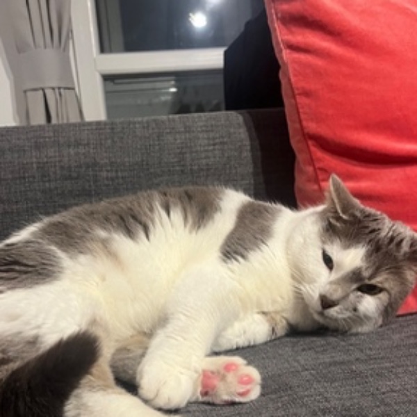 Nala
