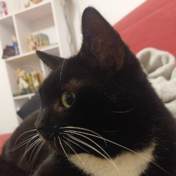 Cayenne