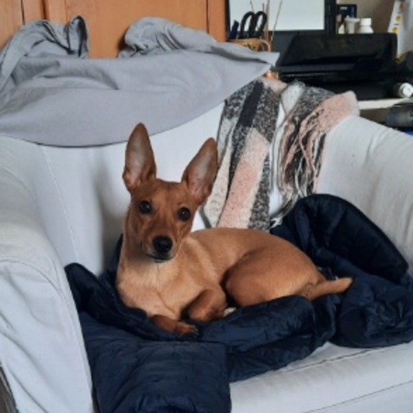 Photo de Nala