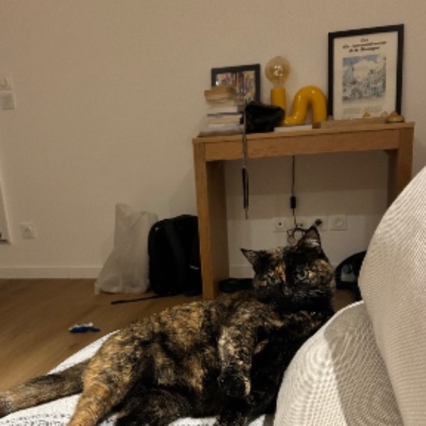 Cachou