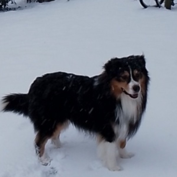 Ulko