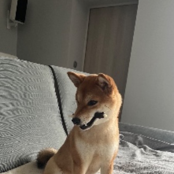 Cheyenne